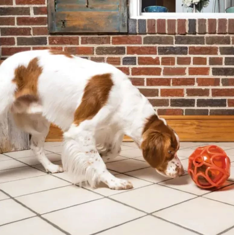 PetSafe Sportsmen Kibble Nibble™ 4 PetSafe Sportsmen Kibble Nibble™ - Image 4