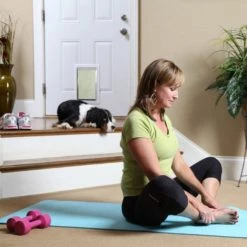 PetSafe Freedom® Aluminum Pet Door -Outlet Farm & Pet Store 12630507 1 1