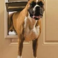 PetSafe Freedom® Aluminum Pet Door -Outlet Farm & Pet Store 12630507 3 1