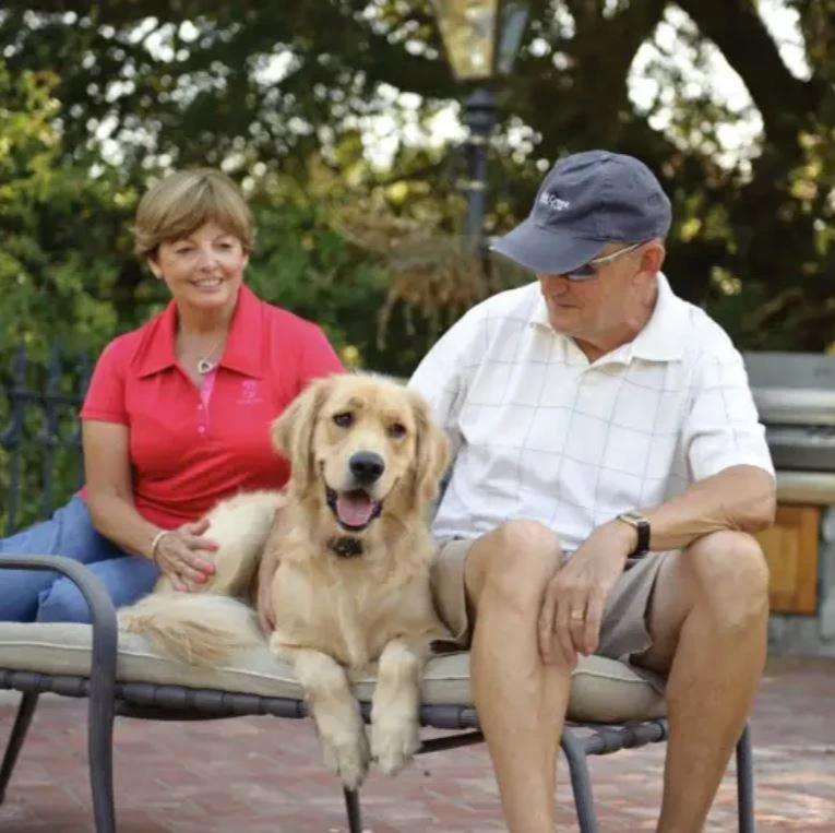 PetSafe Deluxe UltraLight™ Receiver Collar 2 PetSafe Deluxe UltraLight™ Receiver Collar - Image 2