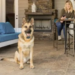 PetSafe SMART DOG® Trainer 5 PetSafe SMART DOG® Trainer -Outlet Farm & Pet Store 12630827 2 1