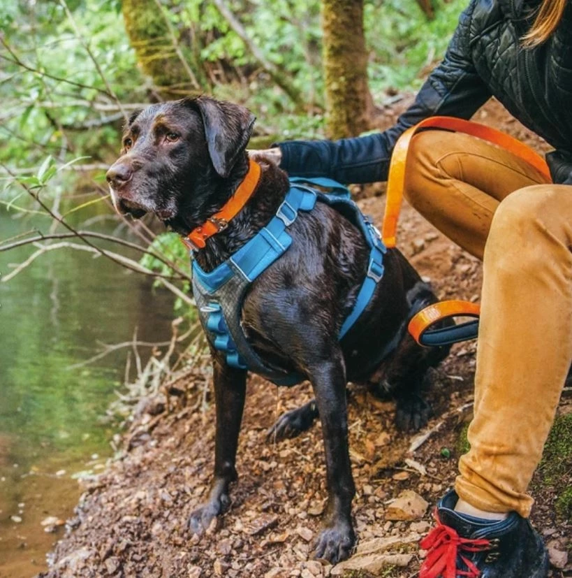 Kurgo Journey Air Dog Harness, Blue 2 Kurgo Journey Air Dog Harness, Blue - Image 2