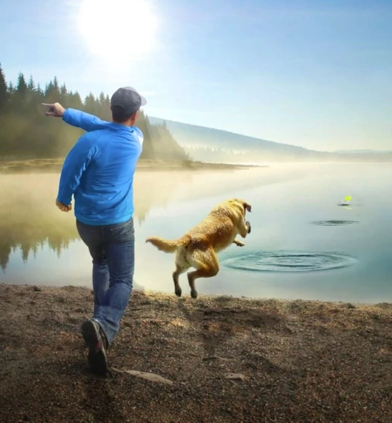 Kurgo Assorted Skipping Stones, 2-Pack 3 Kurgo Assorted Skipping Stones, 2-Pack - Image 3