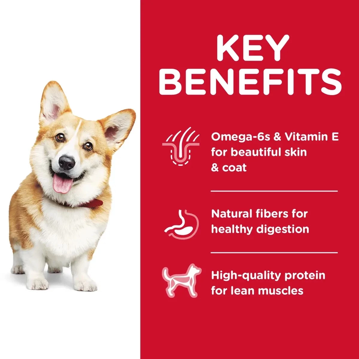 Hill's Science Diet Adult Small Bites Dry Dog Food - 45 lb 3 Hill's Science Diet Adult Small Bites Dry Dog Food - 45 lb - Image 3