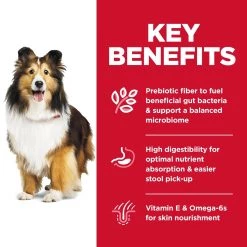 Hill's Science Diet Adult Sensitive Stomach & Skin Dog Food - 36 lb -Outlet Farm & Pet Store 1350062 4 1