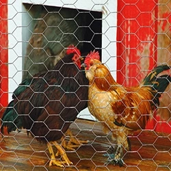 Garden Craft 36" x 25' Mesh Poultry Netting 3 Garden Craft 36" x 25' Mesh Poultry Netting - Image 3