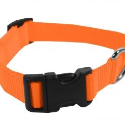 Scott Pet XS Adjustable Nylon Collar, Hot Orange