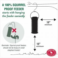 Perky-Pet Easy Feeder - 4 lb Seed Capacity -Outlet Farm & Pet Store 1470105 3