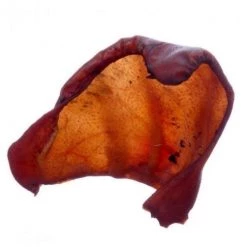 Pig Ear Dog Treats