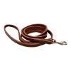 Scott Pet Brown Leather Training Lead