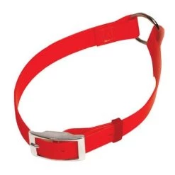 Scott Pet Day-Glo Orange Biothane Collar