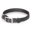 Scott Pet Extended-D Collars