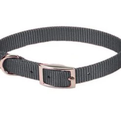 Scott Pet Nylon Single Ply Collar