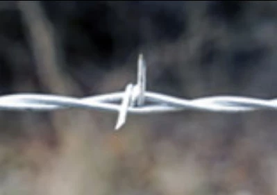 OK Brand 12.5 Gauge 4" 2-Point Premium Barbed Wire 2 OK Brand 12.5 Gauge 4" 2-Point Premium Barbed Wire - Image 2