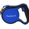 Petmate Walkabout Medium Retractable Leash, Blue
