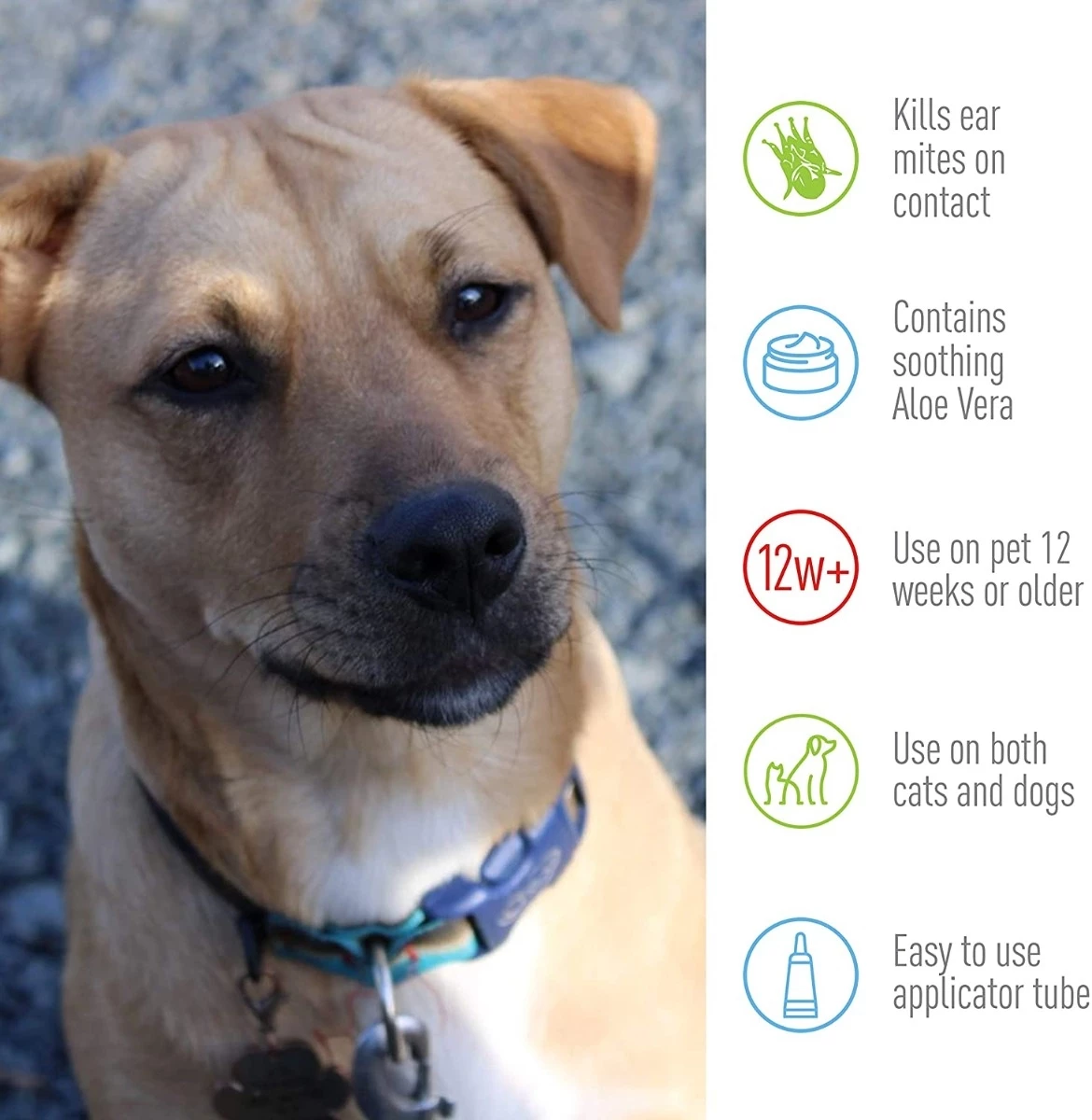 Adams Ear Mite Treatment - .5 oz 2 Adams Ear Mite Treatment - .5 oz - Image 2