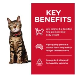 Hill's Science Diet Adult Light cat food 7lb 6 Hill's Science Diet Adult Light cat food 7lb -Outlet Farm & Pet Store 16730014 2