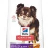 Hill's Science Diet Adult Sensitive Stomach & Skin Small & Mini Chicken Recipe Dog Food