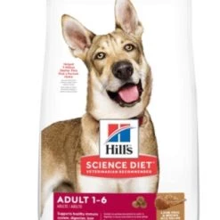 Hill's Science Diet Adult Lamb Meal & Brown Rice Recipe dog food 33lb