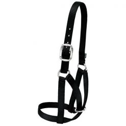 Weaver Leather Barn Cow Halter, Medium, Black