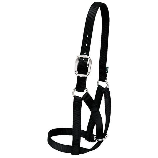 Weaver Leather Barn Cow Halter, Medium, Black 1 Weaver Leather Barn Cow Halter, Medium, Black
