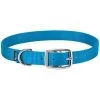 Goat Collar, 5/8" x 14"-16", Small, Hurricane Blue