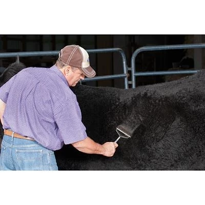 Weaver Leather Shedding Comb 2 Weaver Leather Shedding Comb - Image 2