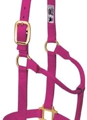 Weaver Leather Original Non-Adjustable Halter, 1" Yearling Horse, Multiple Colors -Outlet Farm & Pet Store 16900550 3