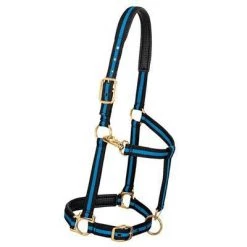 Weaver Leather Padded Adjustable Halter, Average Horse or Yearling Draft
