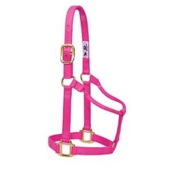 Weaver Leather 1" Large Horse or 2-Year-Old Draft Nylon Halters -Outlet Farm & Pet Store 16905430