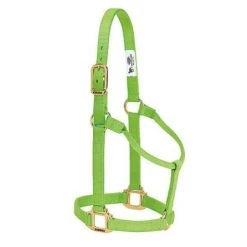 Weaver Leather 1" Large Horse or 2-Year-Old Draft Nylon Halters -Outlet Farm & Pet Store 16905434
