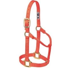 Weaver Leather 1" Large Horse or 2-Year-Old Draft Nylon Halters -Outlet Farm & Pet Store 16905435
