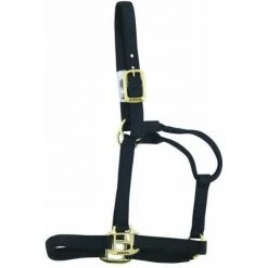 Weaver Leather Original Non-Adjustable Halter, 1" Yearling Horse, Multiple Colors