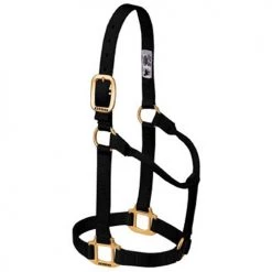Weaver Leather 1" Large Horse or 2-Year-Old Draft Nylon Halters -Outlet Farm & Pet Store 16905908