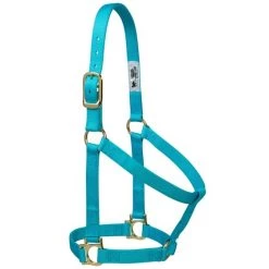 Weaver Leather Basic Halter, 1" Large Horse or 2-Year-Old Draft, Multiple Colors