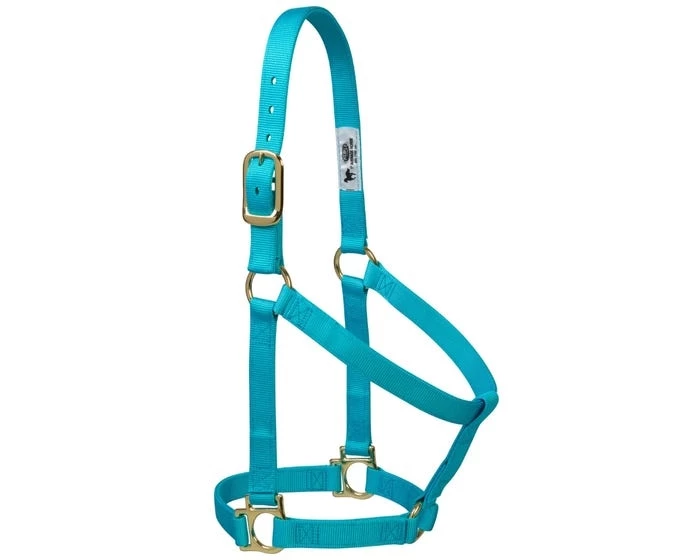 Weaver Leather Basic Halter, 1" Large Horse or 2-Year-Old Draft, Multiple Colors 1 Weaver Leather Basic Halter, 1" Large Horse or 2-Year-Old Draft, Multiple Colors
