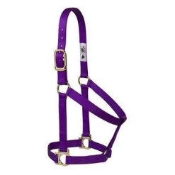 Weaver Leather Basic Halter, 1" Large Horse or 2-Year-Old Draft, Multiple Colors 6 Weaver Leather Basic Halter, 1" Large Horse or 2-Year-Old Draft, Multiple Colors -Outlet Farm & Pet Store 16907321 2
