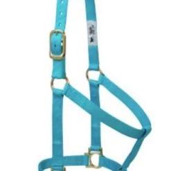 Weaver Turquoise Non-Adjustable Nylon Halter, Large