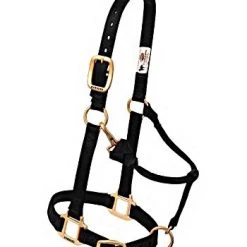 Weaver Leather Original Adjustable Chin and Throat Snap Halter, 3/4", Weanling/Pony 7 Weaver Leather Original Adjustable Chin and Throat Snap Halter, 3/4", Weanling/Pony -Outlet Farm & Pet Store 16907359