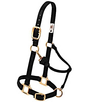 Weaver Leather Original Adjustable Chin and Throat Snap Halter, 3/4", Weanling/Pony 4 Weaver Leather Original Adjustable Chin and Throat Snap Halter, 3/4", Weanling/Pony - Image 4