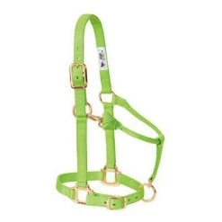 Weaver Leather Original Adjustable Chin and Throat Snap Halter, 3/4", Weanling/Pony