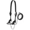 Weaver Leather Dairy/Beef Rounded Show Halter, Black