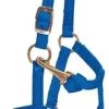 Weaver Leather Miniature Horse Adj Chin and Throat Snap Halter, Large