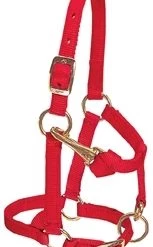 Weaver Leather Miniature Horse Adj Chin and Throat Snap Halter, Large -Outlet Farm & Pet Store 16910155 3