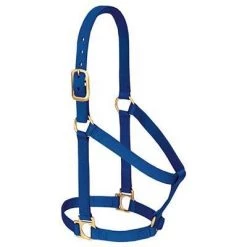 Weaver Leather Basic Non-Adj Halter, 1" Small Horse or Weanling Draft, Multiple Colors -Outlet Farm & Pet Store 16910317 2