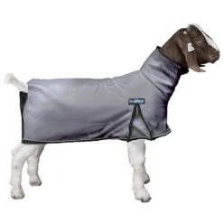 Weaver ProCool™ Goat Blanket with Reflective Piping, Medium