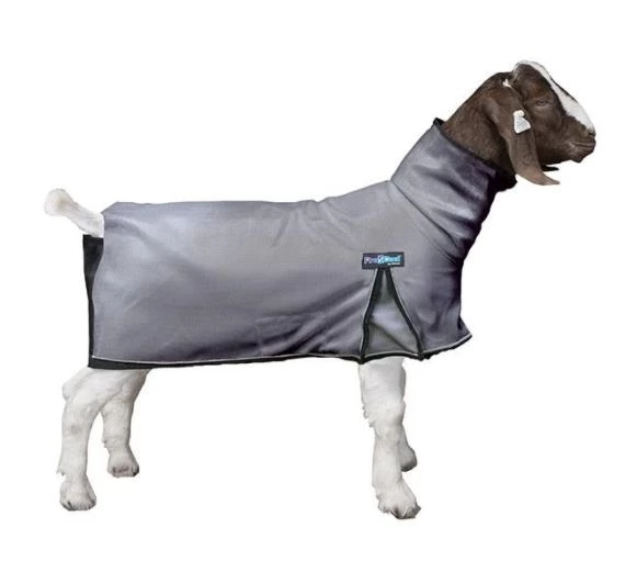 Weaver ProCool™ Goat Blanket with Reflective Piping, Medium 1 Weaver ProCool™ Goat Blanket with Reflective Piping, Medium