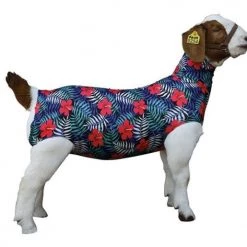Weaver Spandex Hawaiian Goat Tube, Medium