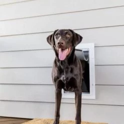 PetSafe Large Wall Entry White Plastic Pet Door -Outlet Farm & Pet Store 17200111 2