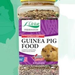 L’Avian Plus 166045 Guinea Pig Food Jar - 4.5 lbs